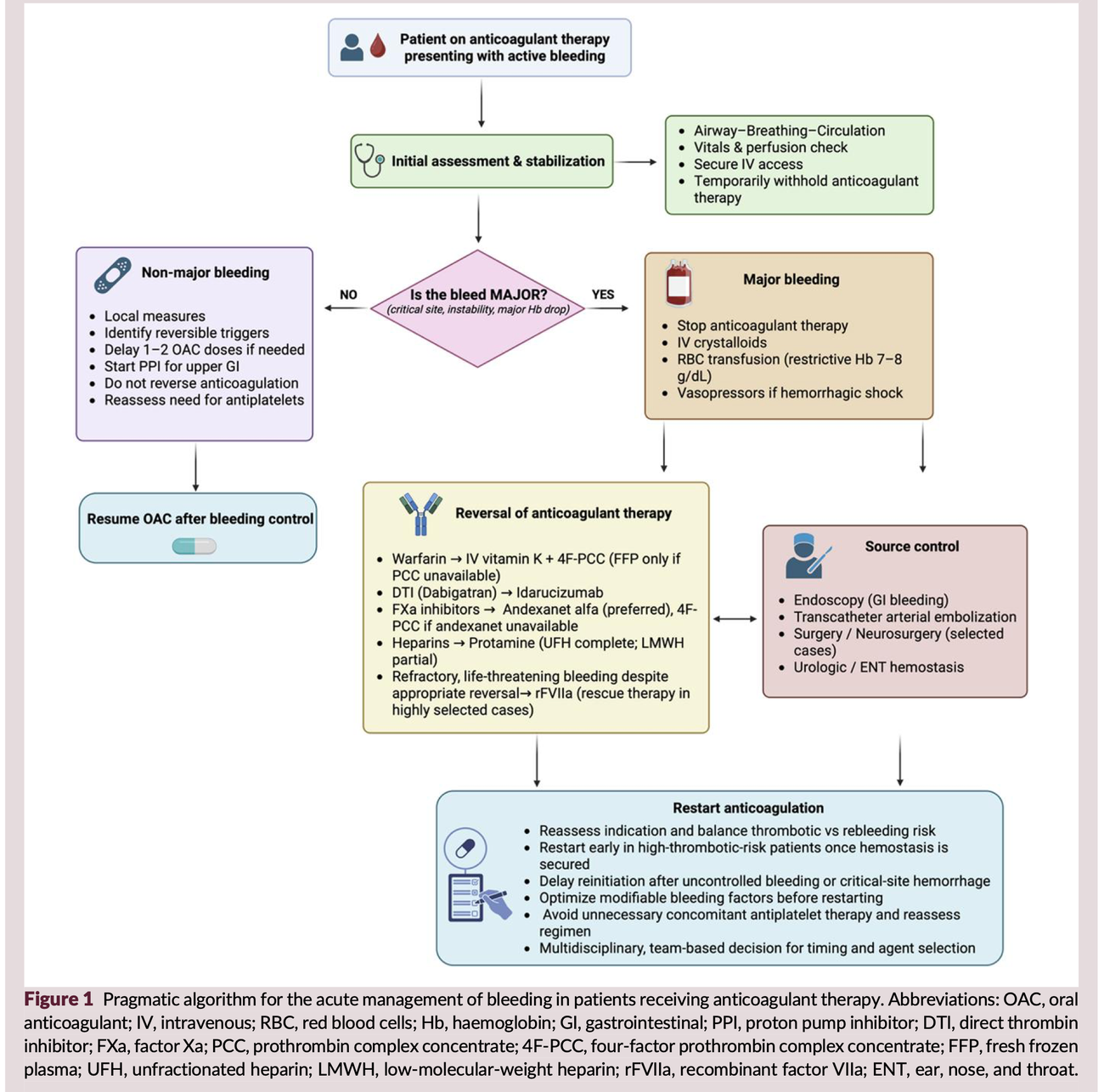 Flowchart for the acute management of bleeding in patients on anticoagulant therapy, from initial assessment through the major-versus-non-major bleeding decision, reversal, source control, and restarting anticoagulation