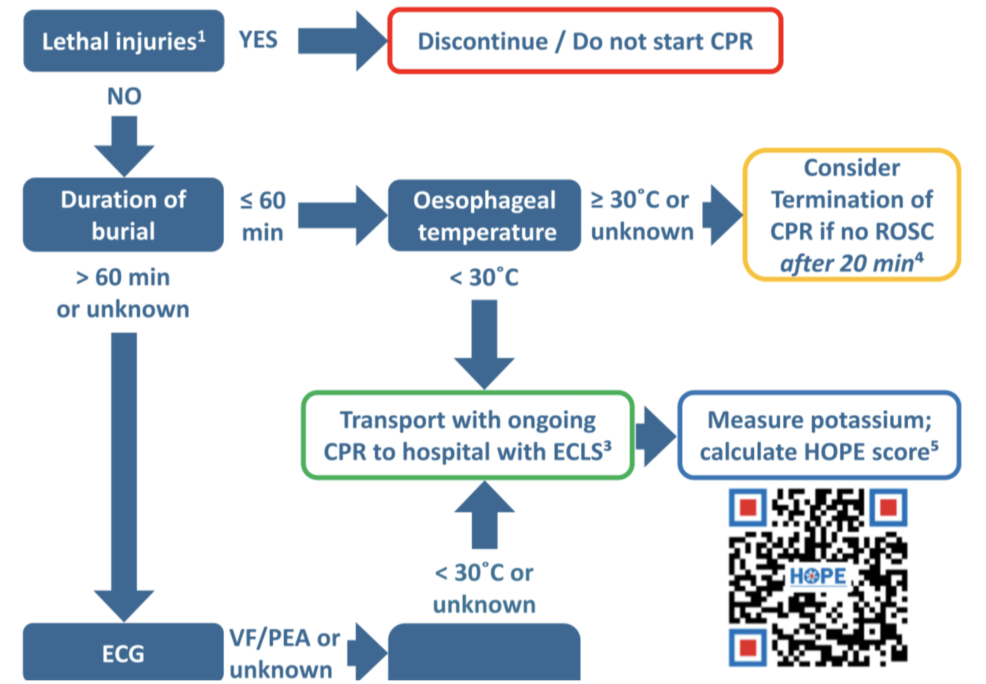 Algorithm for avalanche burial triage and resuscitation, covering lethal injury screening, burial duration, esophageal temperature, ECLS transport, and HOPE score calculation